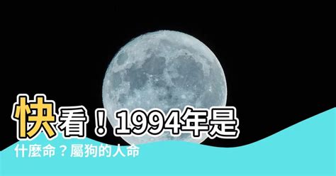 1994年屬|屬狗人：1994年是什麼命？准爆了！